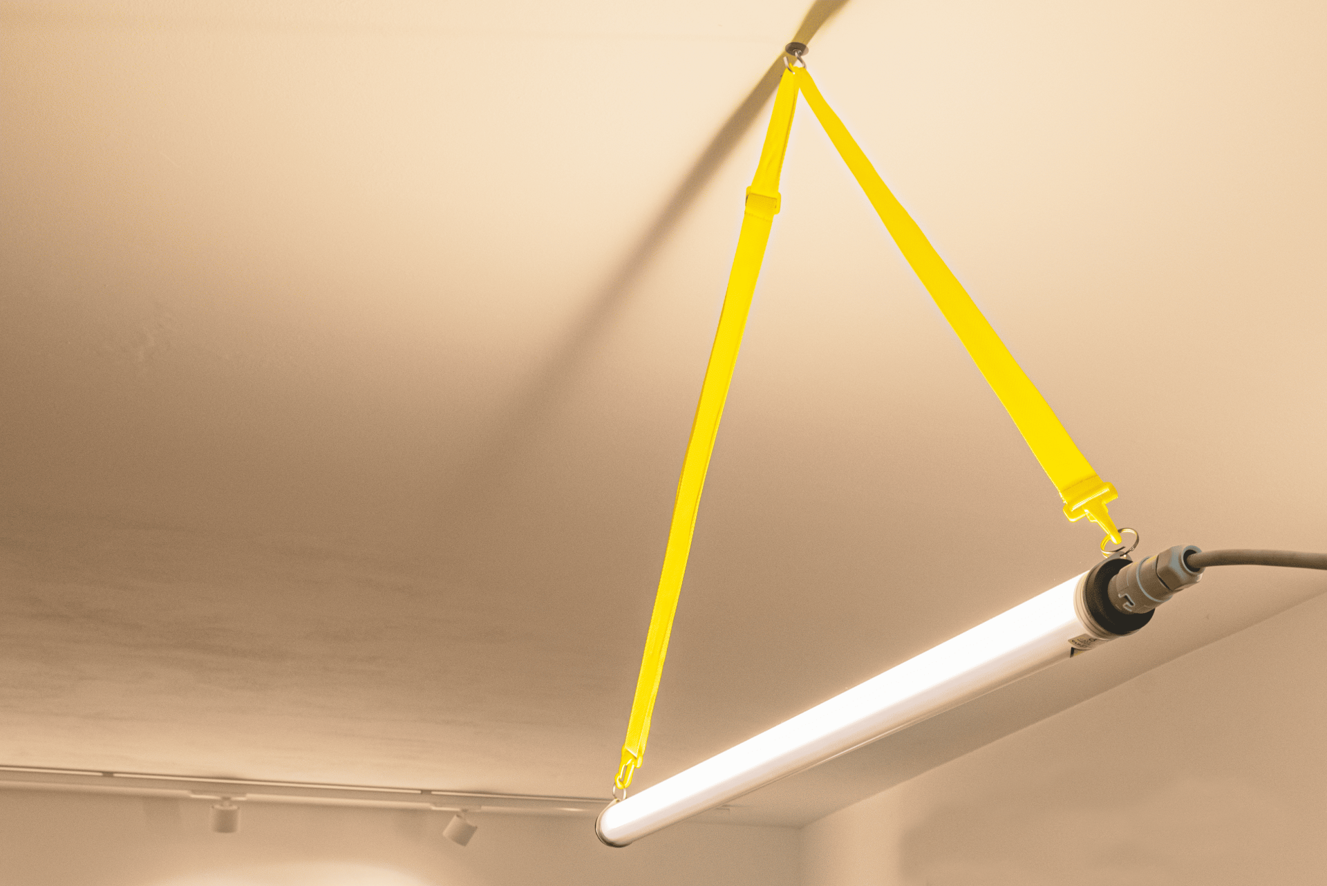 Linear Tube 2
